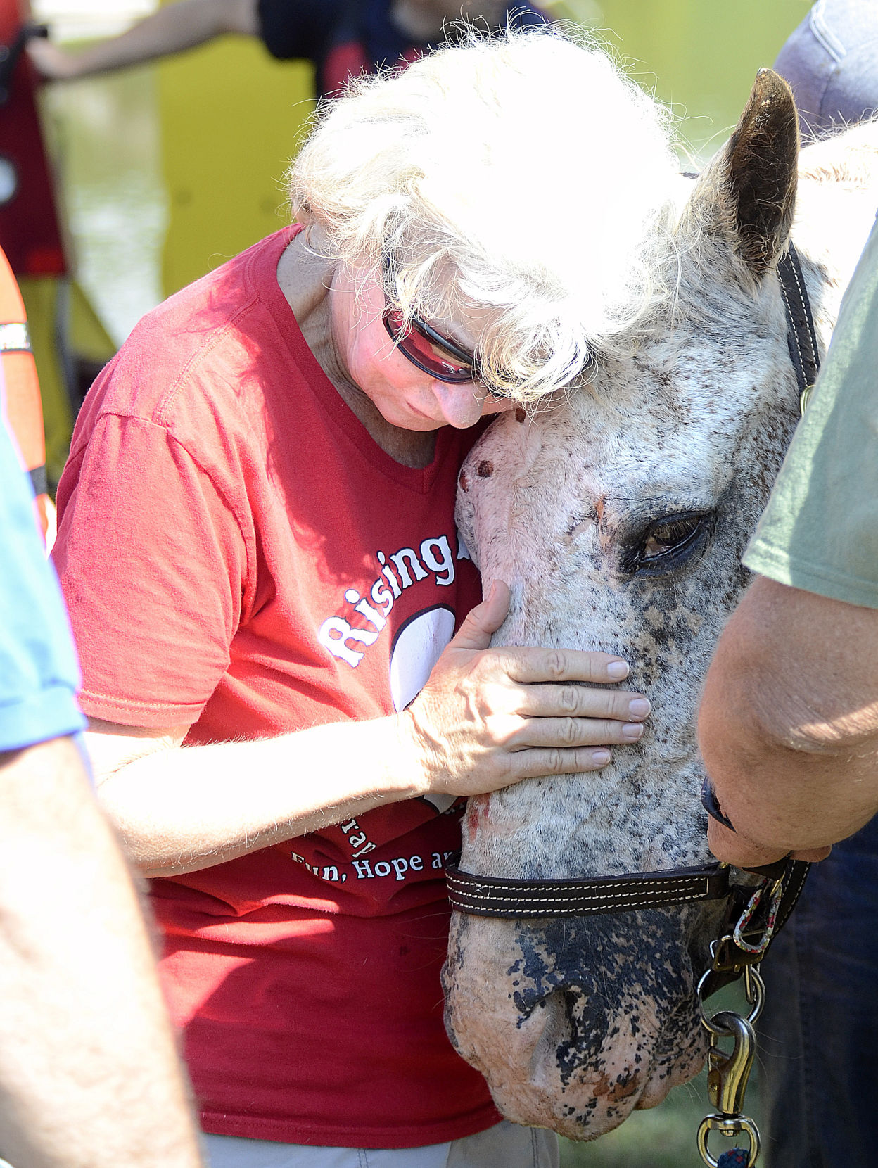 Claremont horse rescue